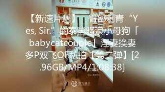 【新速片遞】 ✨臀部刺青“Yes, Sir.”的泰国骚浪小母狗「babycatcouple」淫妻换妻多P双飞OF私拍【第二弹】[2.96GB/MP4/1:08:38]