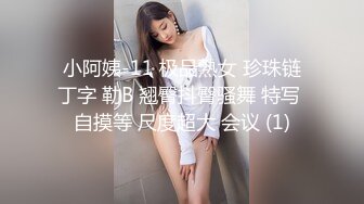 小阿姨-11 极品熟女 珍珠链丁字 勒B 翘臀抖臀骚舞 特写 自摸等 尺度超大 会议 (1)