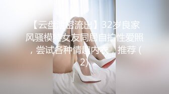 【云盘泄密流出】32岁良家风骚模特女友同居自拍性爱照，尝试各种情趣内衣，推荐 (2)