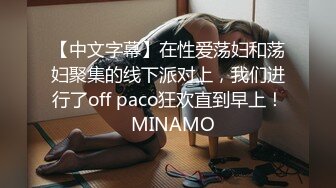 【中文字幕】在性爱荡妇和荡妇聚集的线下派对上，我们进行了off paco狂欢直到早上！  MINAMO