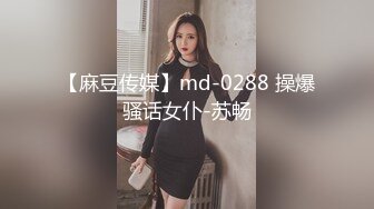 【麻豆传媒】md-0288 操爆骚话女仆-苏畅