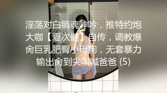 淫荡对白销魂呻吟，推特约炮大咖【夏次健】自传，调教爆肏巨乳肥臀小母狗，无套暴力输出肏到尖叫喊爸爸 (5)