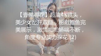 【壹屌寻花】超清4K镜头，美少女岔开双腿，粉嫩鲍鱼完美展示，激情啪啪娇喘不断，角度专业实力探花 (2)