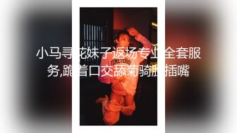 小马寻花妹子返场专业全套服务,跪着口交舔菊骑脸插嘴