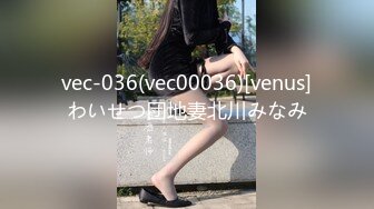 vec-036(vec00036)[venus]わいせつ団地妻北川みなみ