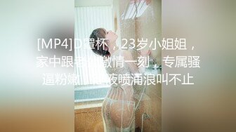 [MP4]D罩杯，23岁小姐姐，家中跟老公激情一刻，专属骚逼粉嫩，淫液喷涌浪叫不止