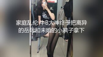 家庭乱伦 牛B大神终于把离异的岳母和未婚的小姨子拿下