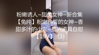 粉嫩诱人~甜美女神~新合集【兔纯】粉嫩白皙的女神~香甜多汁的小穴~扣穴道具自慰【19V】  (3)