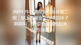 [MP4]牛仔裤花臂纹身妹第二炮，穿上衣服金手指摸的妹子啊啊叫，69姿势舔逼抱起来猛烈撞击