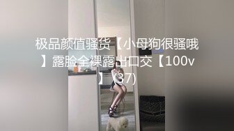 极品颜值骚货【小母狗很骚哦】露脸全裸露出口交【100v】 (37)