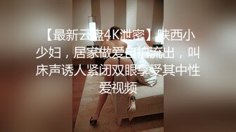 【最新云盘4K泄密】陕西小少妇，居家做爱自拍流出，叫床声诱人紧闭双眼享受其中性爱视频