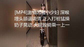 [MP4]激情风骚小少妇 深喉埋头舔逼调情 正入打桩猛操奶子晃动 大屁股骑乘一上一下