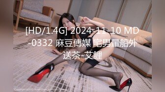 [HD/1.4G] 2024-11-10 MD-0332 麻豆傳媒 宅男暈船外送茶-艾鯉