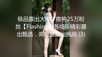 极品露出大神！推特25万粉丝【Flashing】各场所精彩露出甄选，高难度露出挑战 (3)