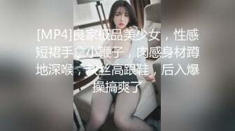 [MP4]良家极品美少女，性感短裙手拿小鞭子，肉感身材蹲地深喉，灰丝高跟鞋，后入爆操搞爽了