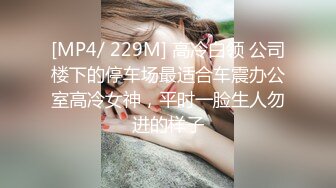 [MP4/ 229M] 高冷白领 公司楼下的停车场最适合车震办公室高冷女神，平时一脸生人勿进的样子