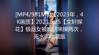 [MP4/981MB]【2023年，4K画质】2021.5.25【文轩探花】极品女被喊回来操两次，无水印收藏版