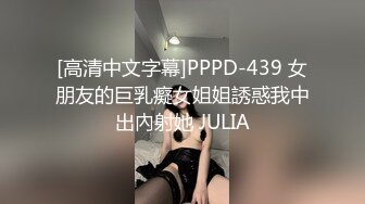 [高清中文字幕]PPPD-439 女朋友的巨乳癡女姐姐誘惑我中出內射她 JULIA